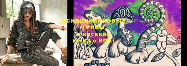 молекула духа Абинск