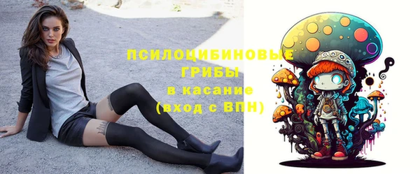 амф Алексин