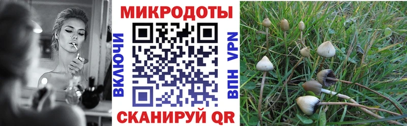 как найти наркотики Астрахань Псилоцибиновые грибы MAGIC MUSHROOMS