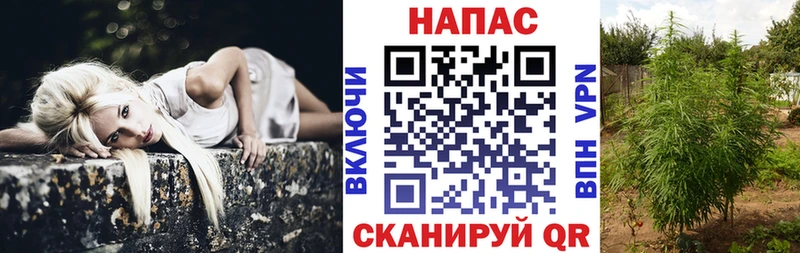 Марихуана конопля  MEGA зеркало  Астрахань  продажа наркотиков 